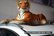 国产四虎精