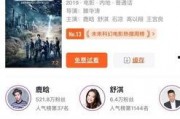 在线视频观看国产,在线视频观看背后的国产力量